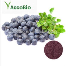 Bulk Supply Euterpe badiocarpa Extract 10: 1/Acai Berry Extract Powder in Bulk